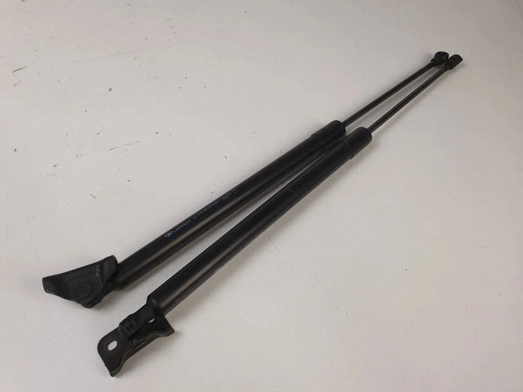Tailgate/trunk strut/damper 904500004R