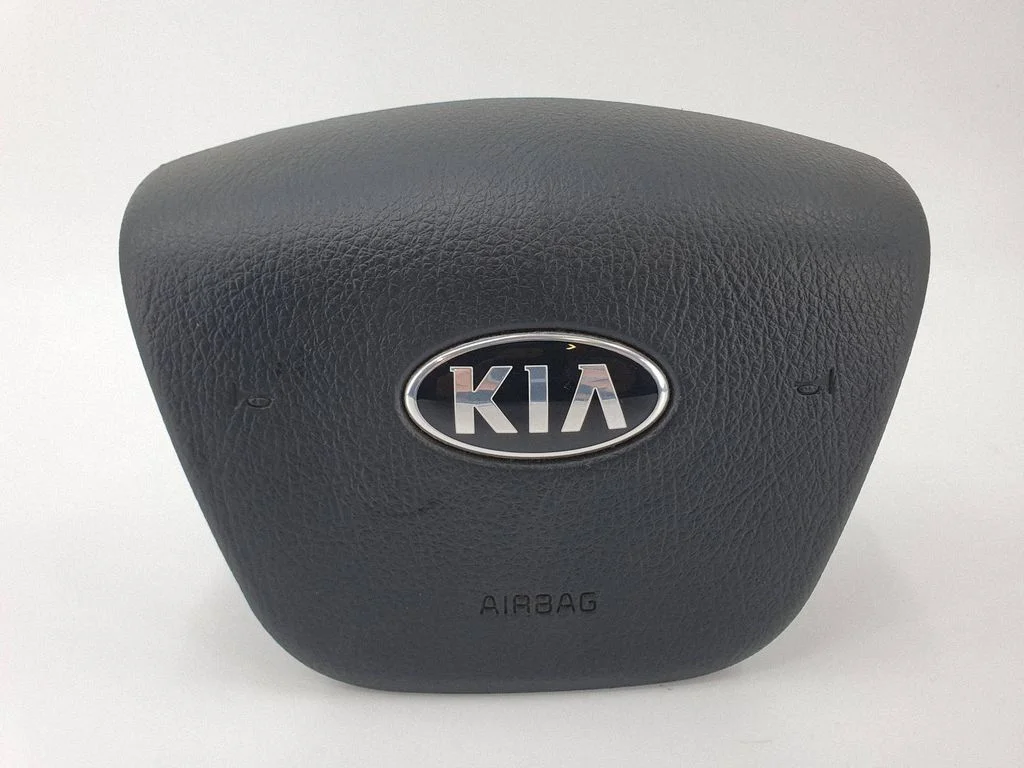 Steering wheel airbag 569002P500