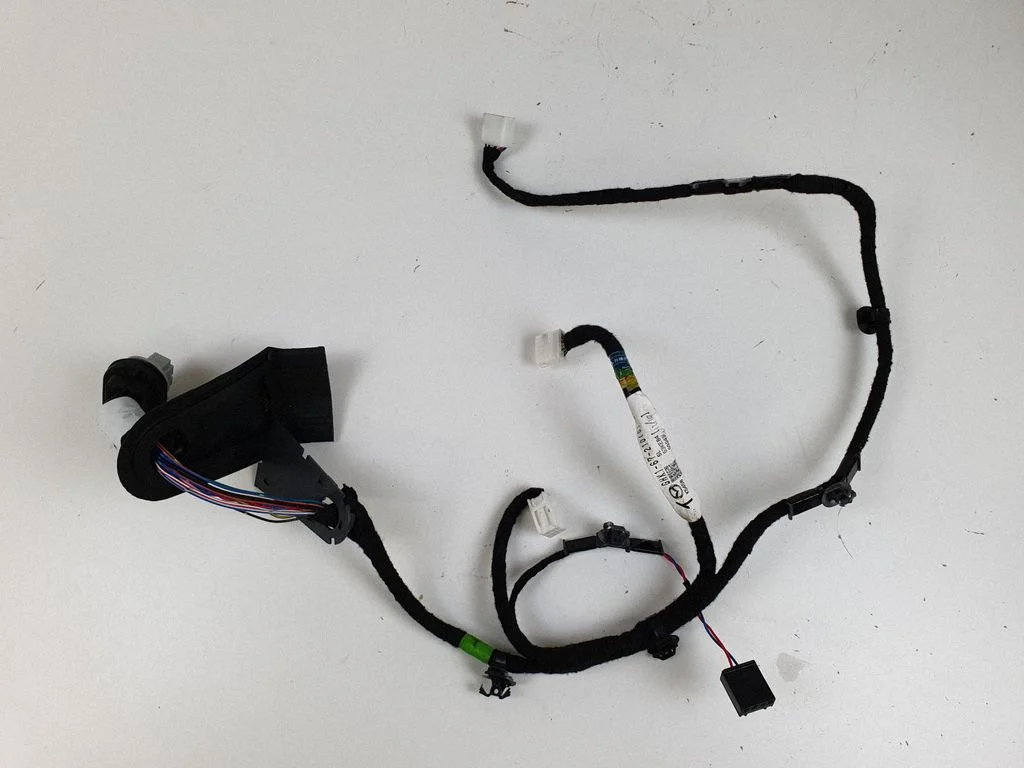 Rear door wiring loom GHK16721054