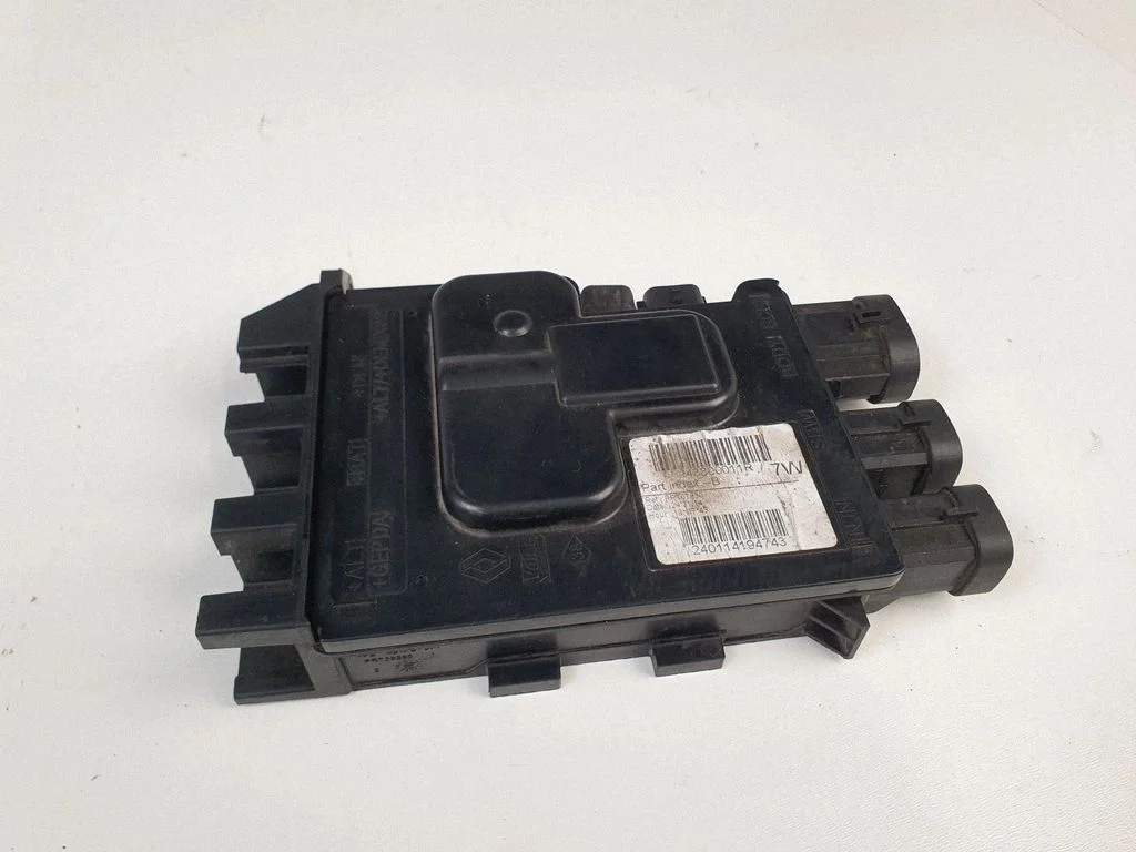 Positive wiring loom 243800011R