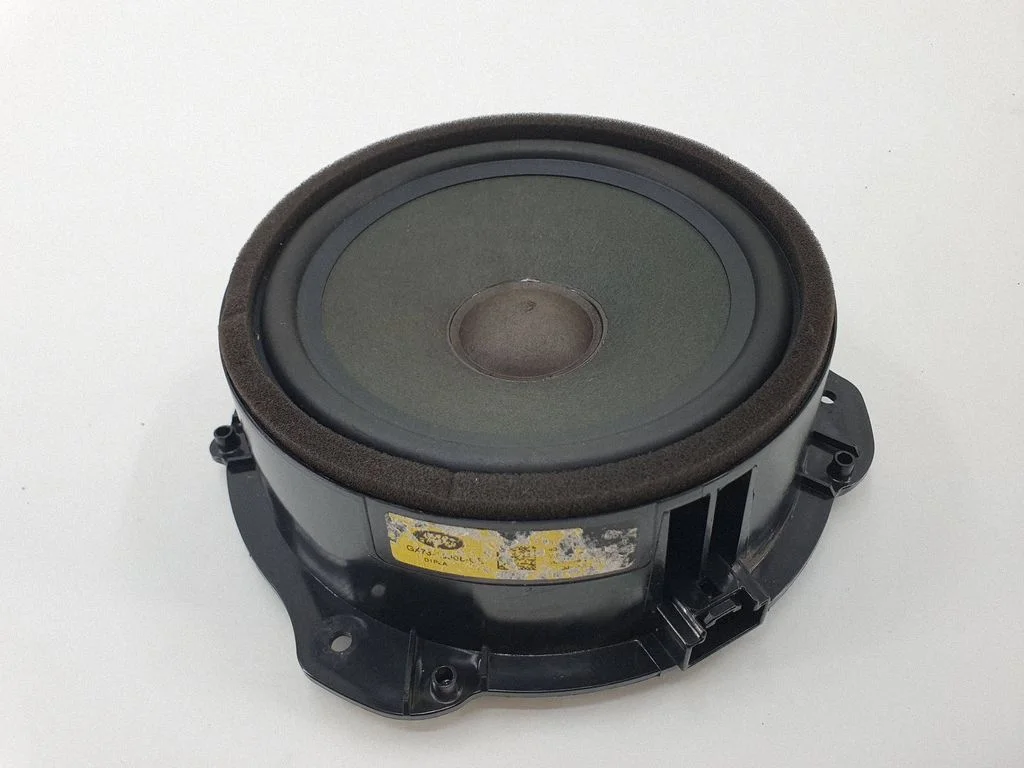 Front door speaker GX7318808CE