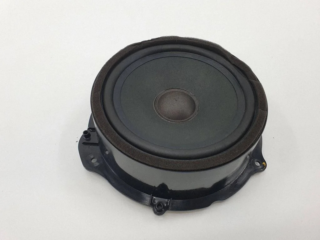 Front door speaker GX7318808CE