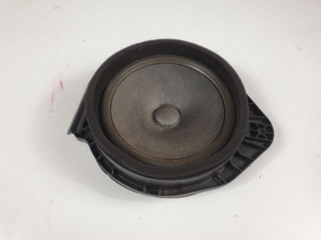 Front door speaker