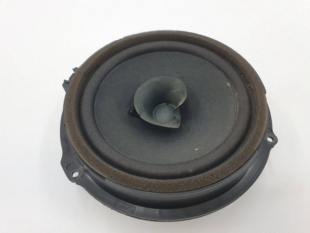 Skaļrunis (-ņi) aizmugurējās durvīs AA6T18808CA