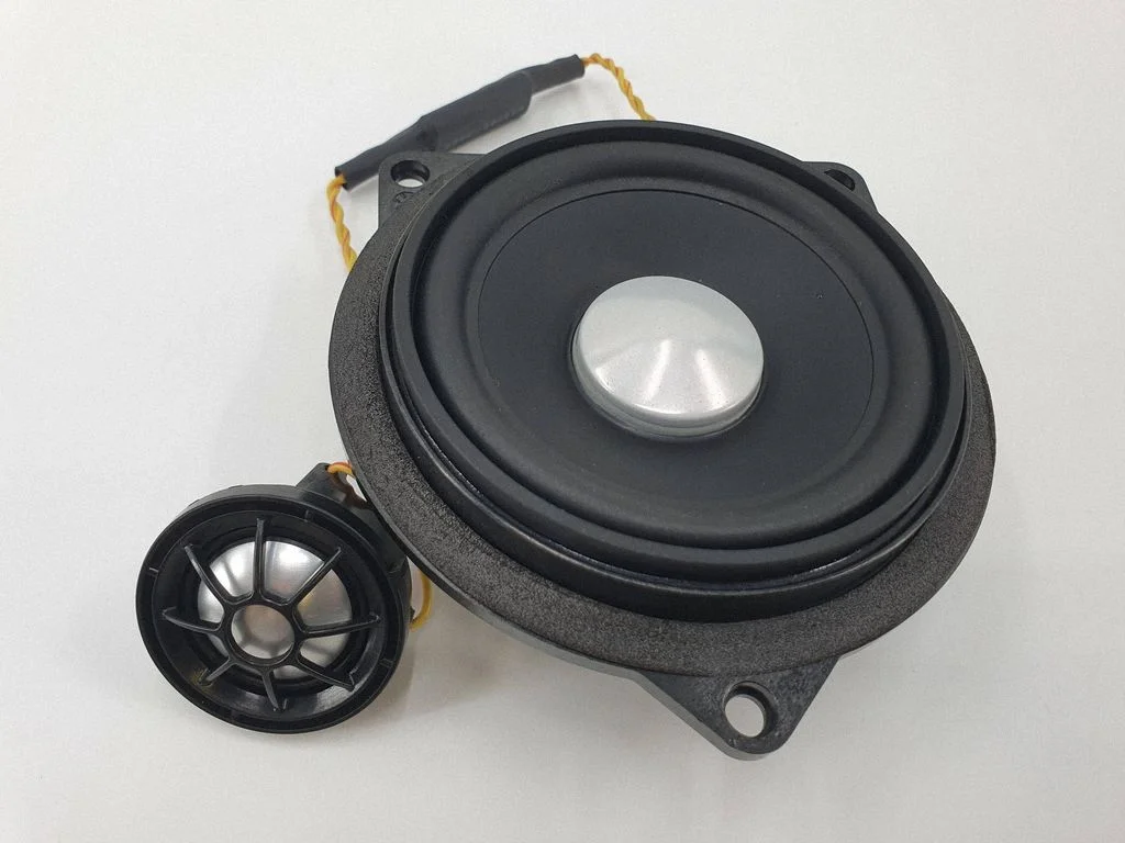 Rear door speaker 9169693
