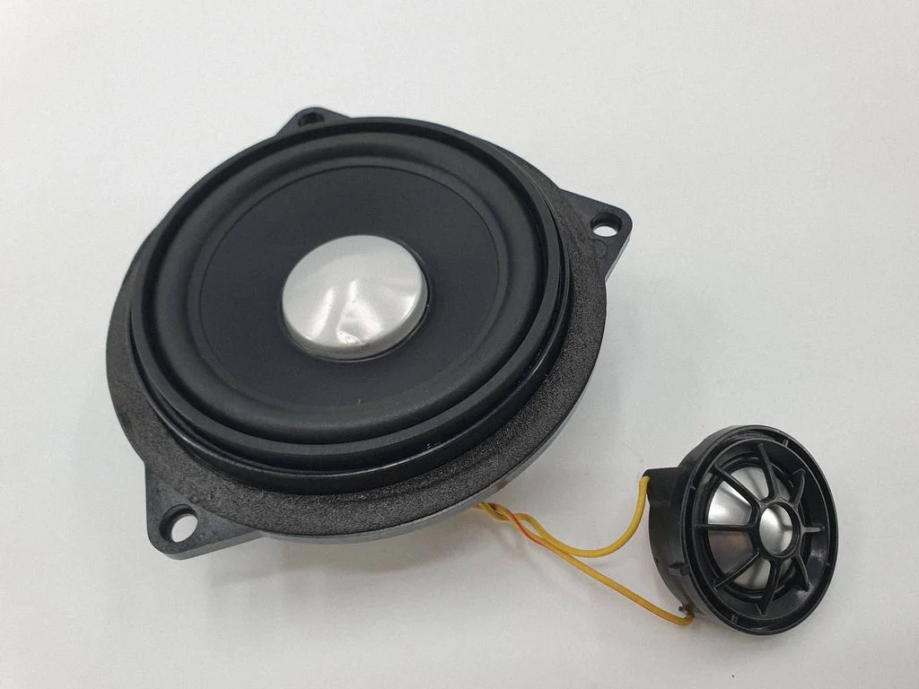 Rear door speaker 9169693