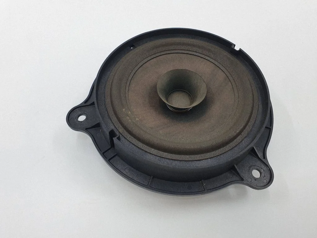 Rear door speaker 7606500454