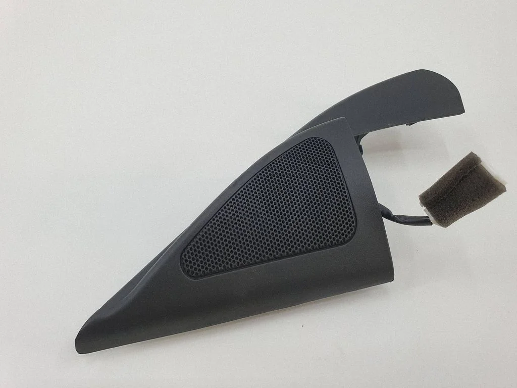 Front door high frequency speaker 876502P500