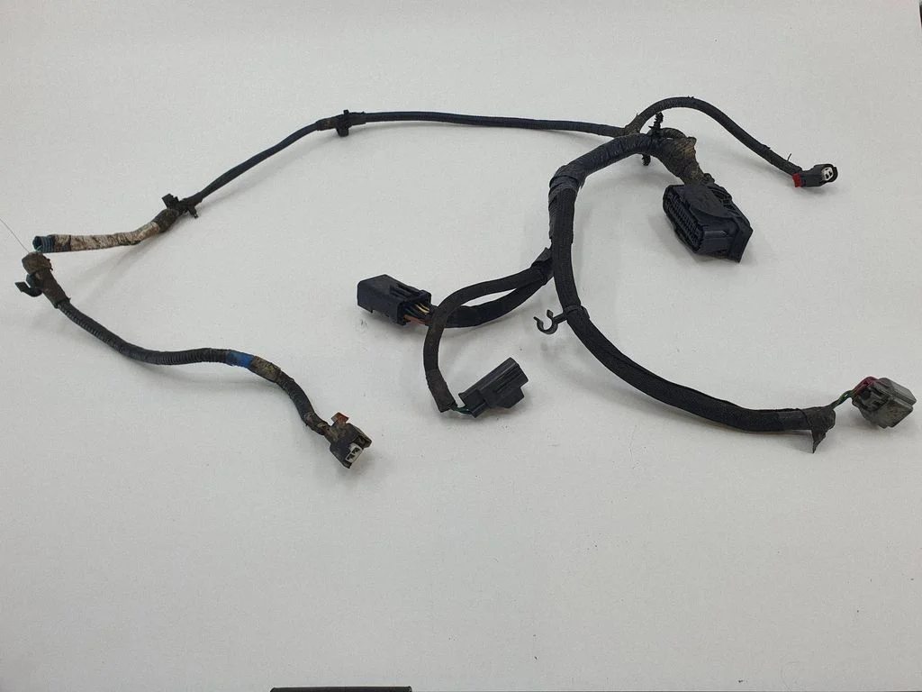 Other wiring loom