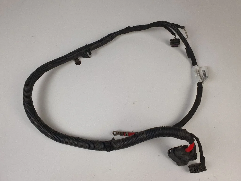 Other wiring loom 31687748