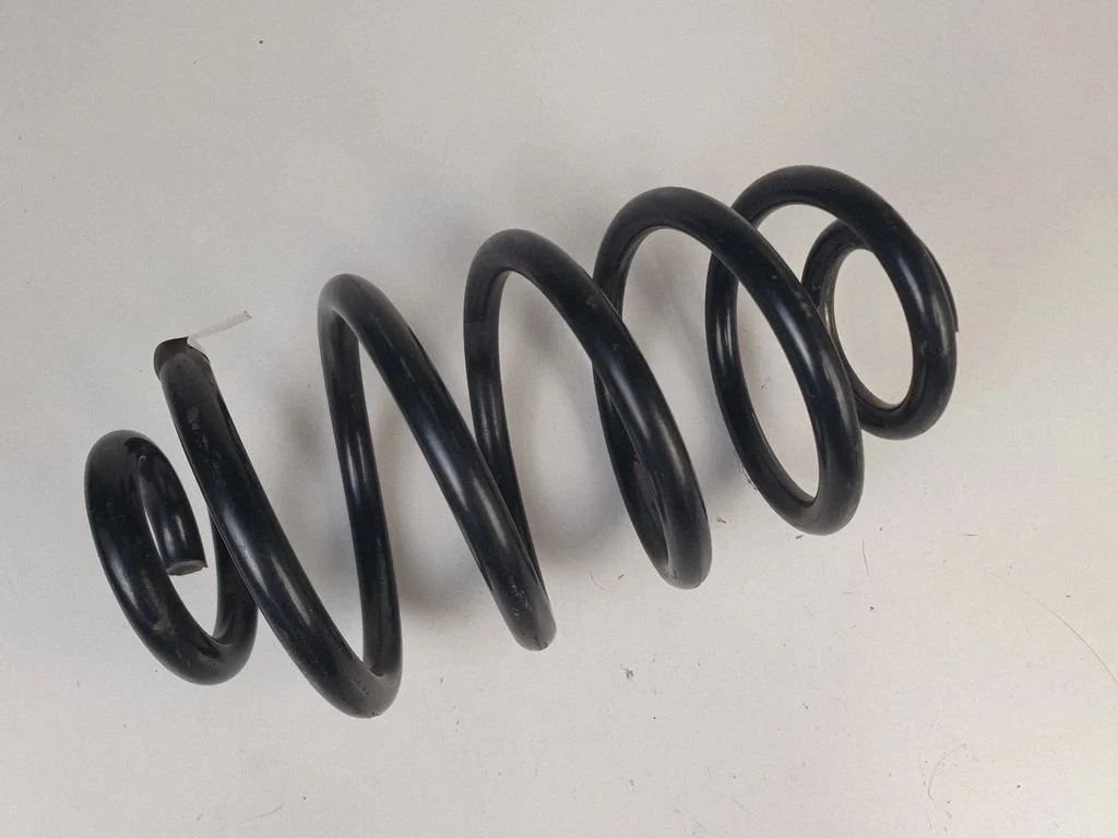 Rear coil spring