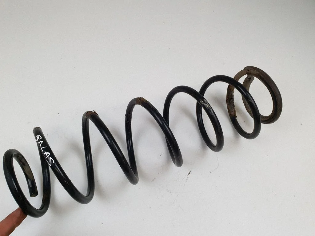 Rear coil spring