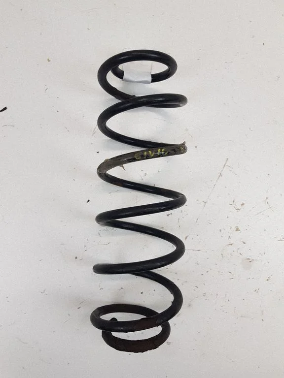 Rear coil spring
