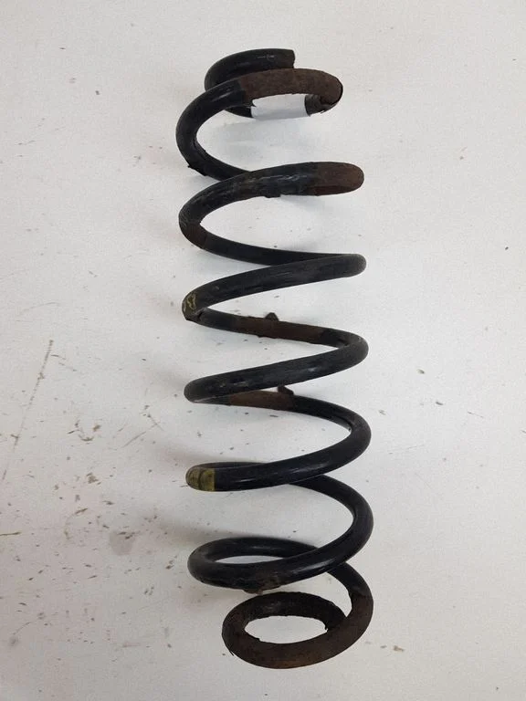 Rear coil spring