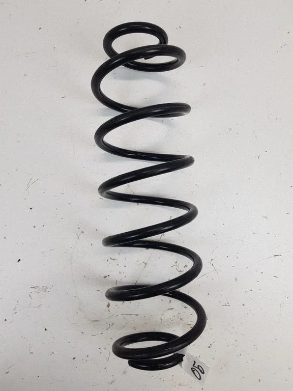 Rear coil spring