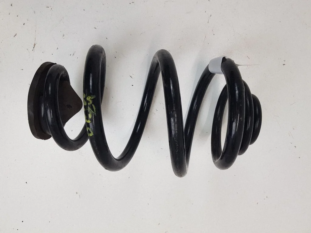 Rear coil spring