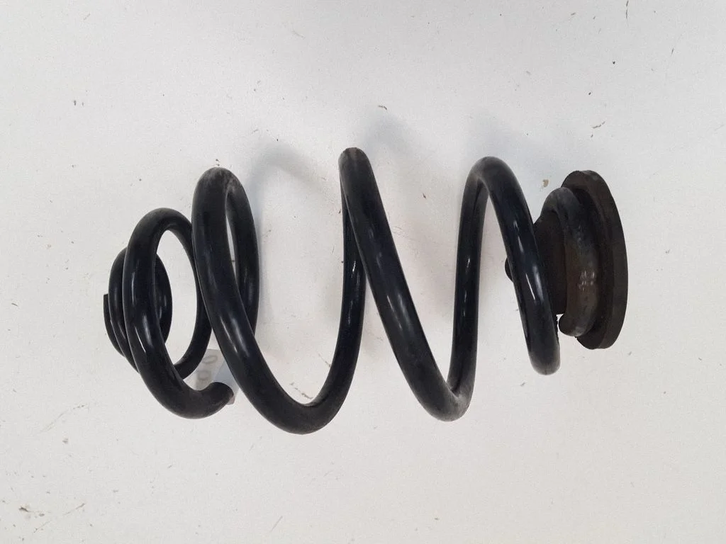 Rear coil spring