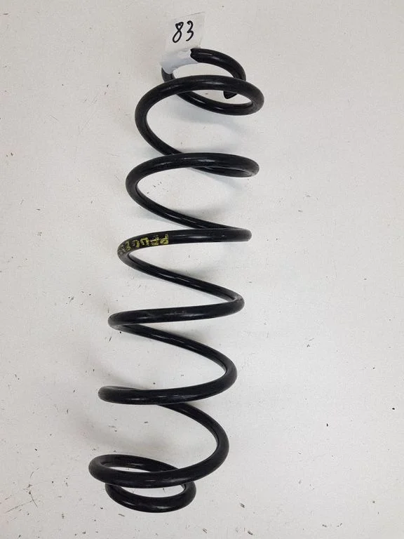 Rear coil spring