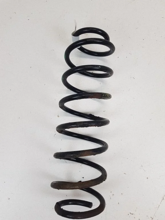Rear coil spring