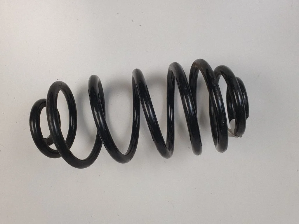 Rear coil spring