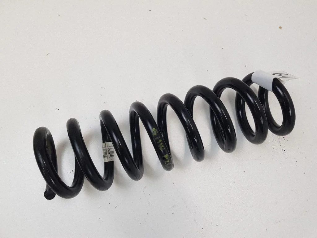 Rear coil spring