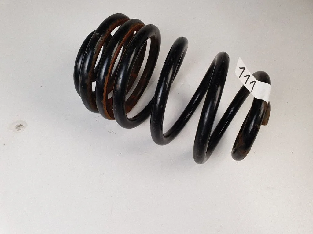 Rear coil spring
