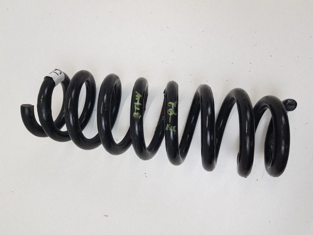 Rear coil spring