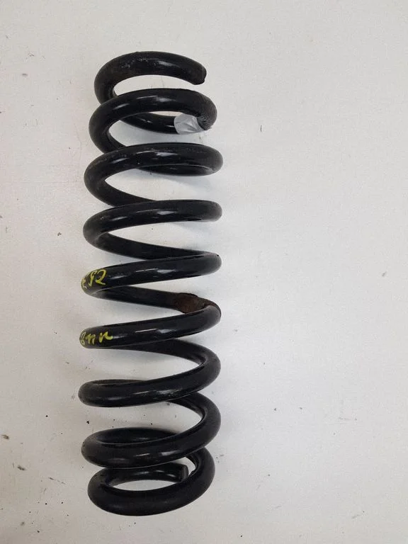 Rear coil spring