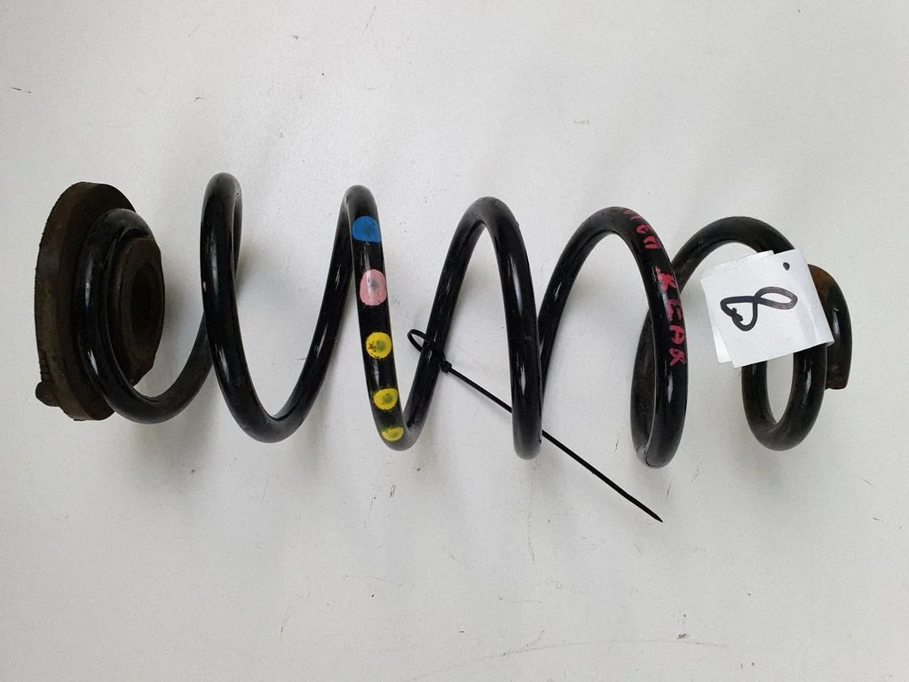 Rear coil spring