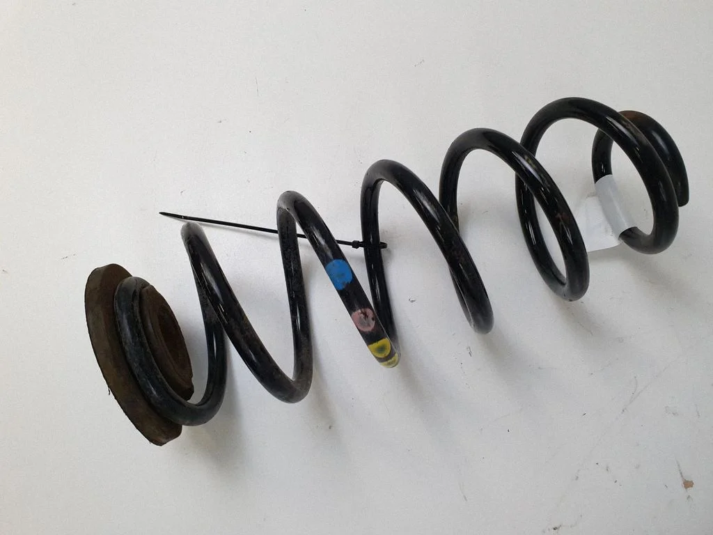 Rear coil spring