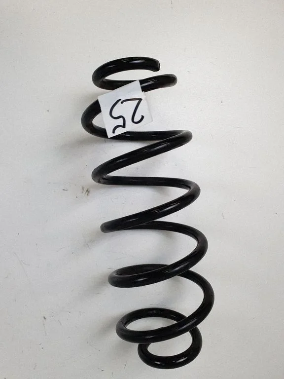 Rear coil spring