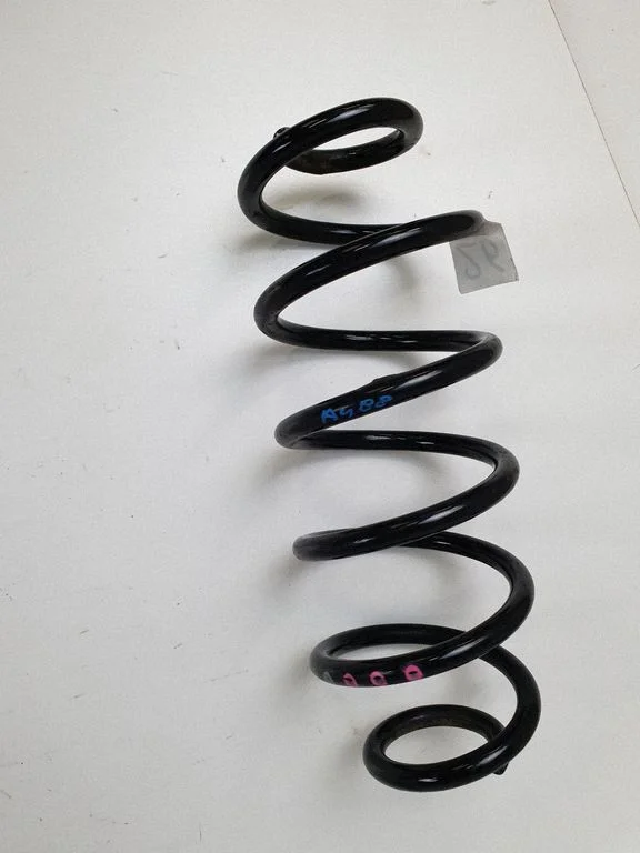 Rear coil spring