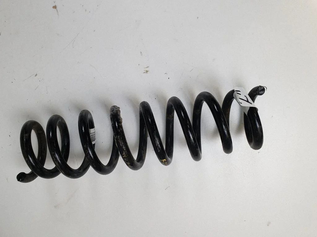 Rear coil spring