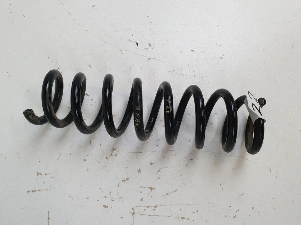 Rear coil spring