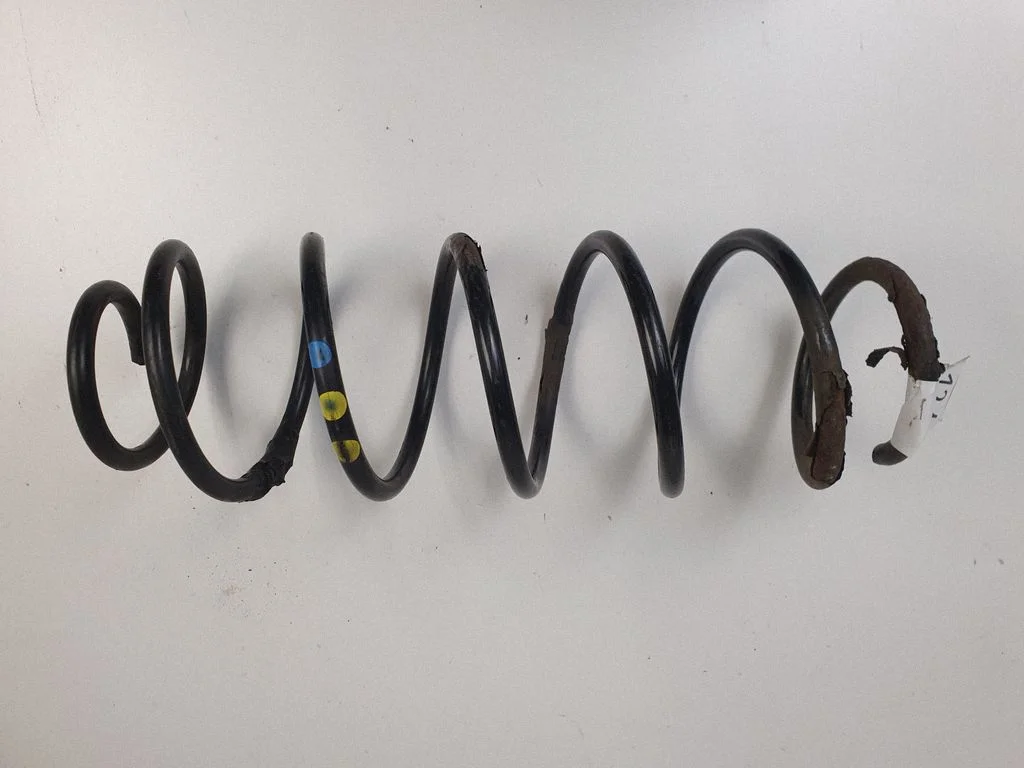 Rear coil spring