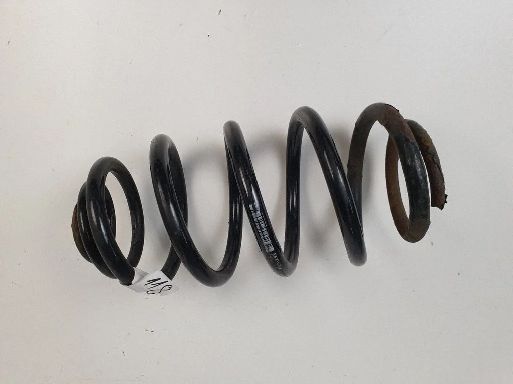 Rear coil spring