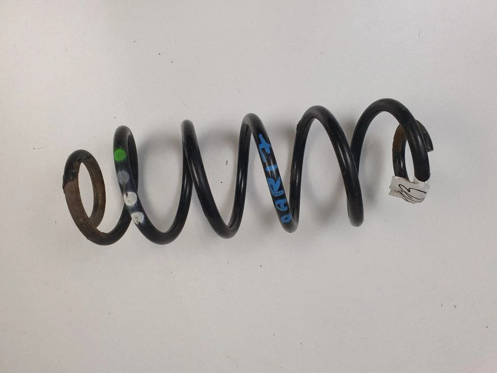 Rear coil spring