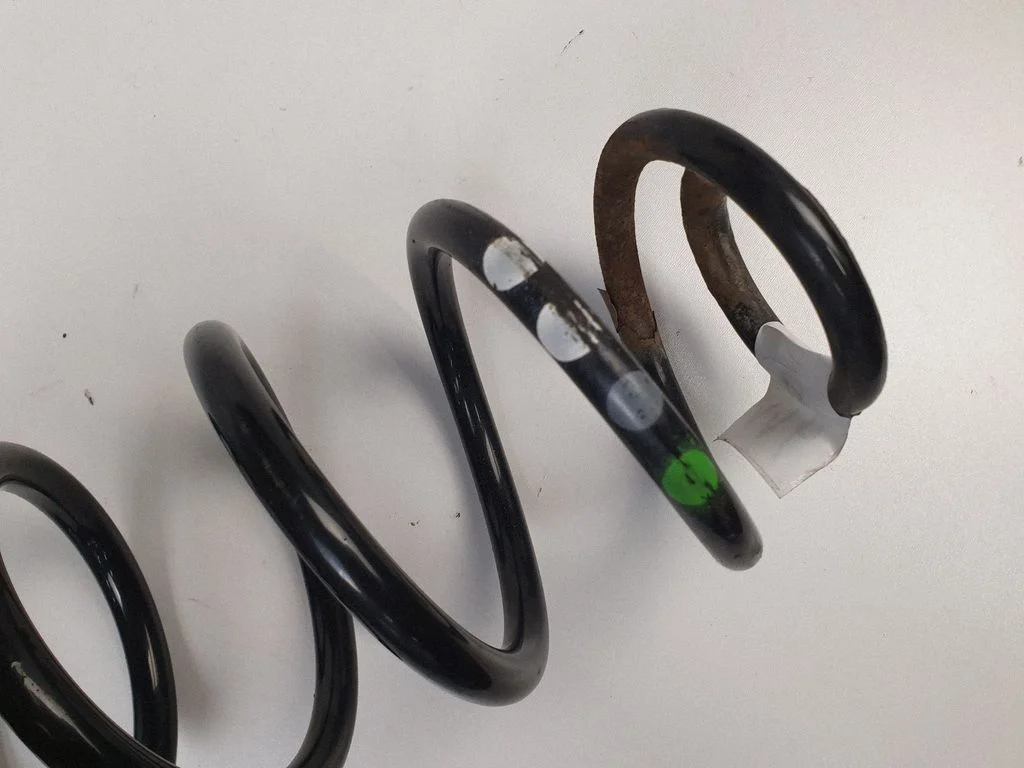 Rear coil spring