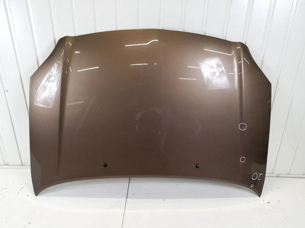 Engine bonnet/hood