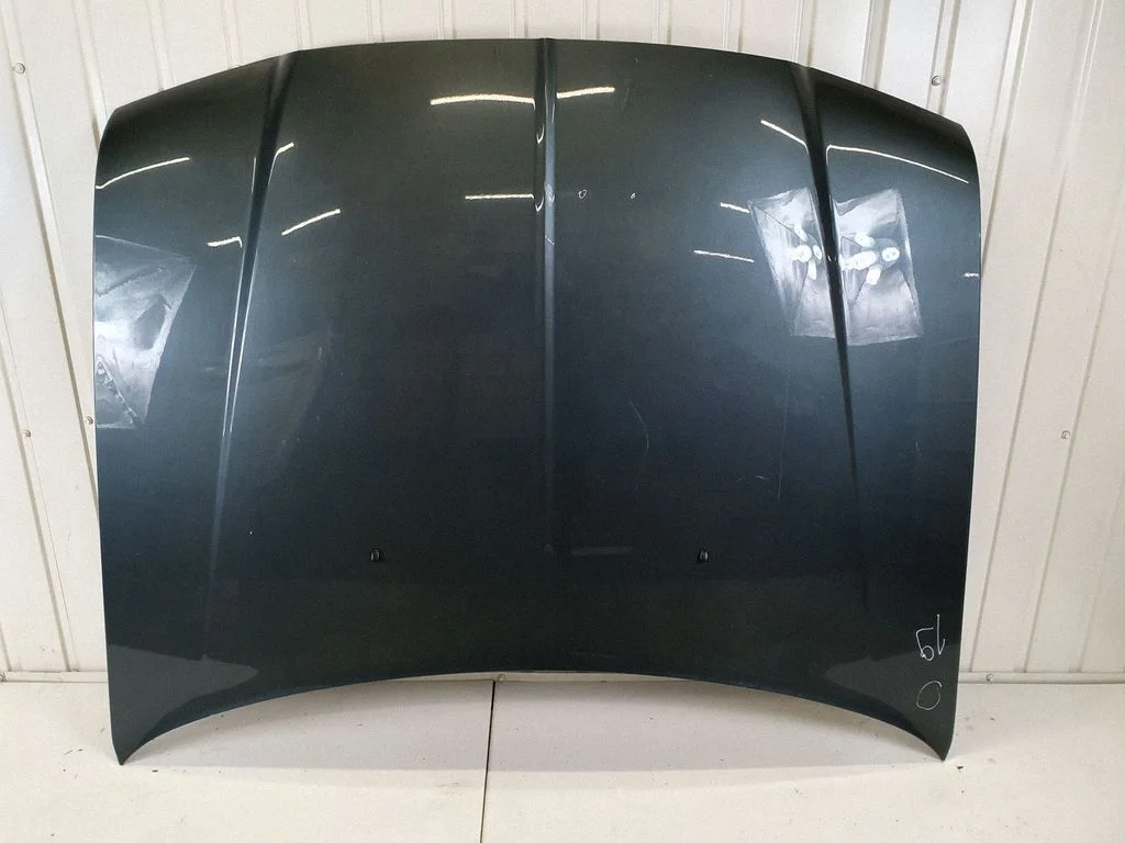 Engine bonnet/hood