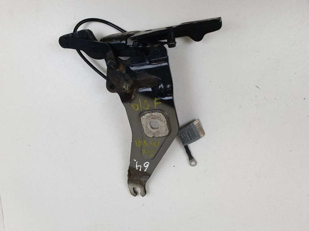 Motora pārsega eņģe (-es) – BMW X5 E70 (2006-2013)