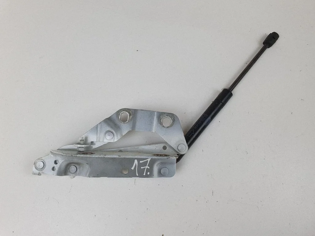 Motora pārsega eņģe (-es) 6H5216801AC