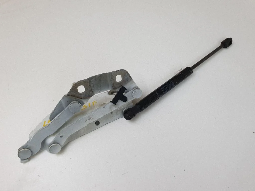Motora pārsega eņģe (-es) 6H5216800AC