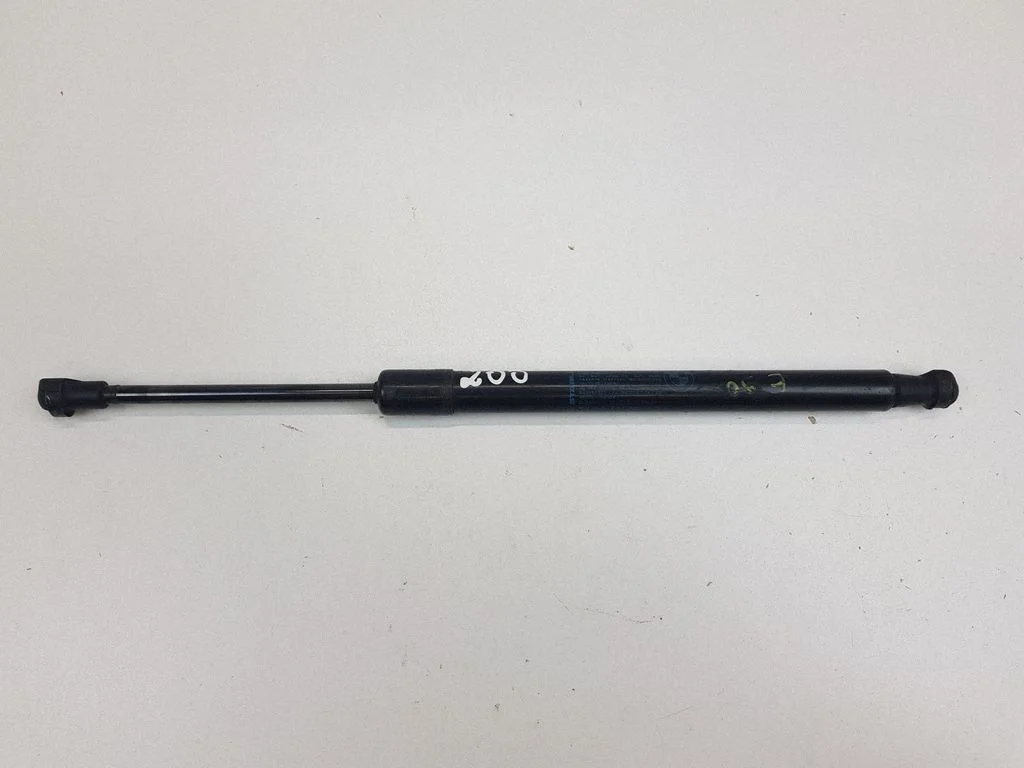 Tailgate/trunk strut/damper 7250308