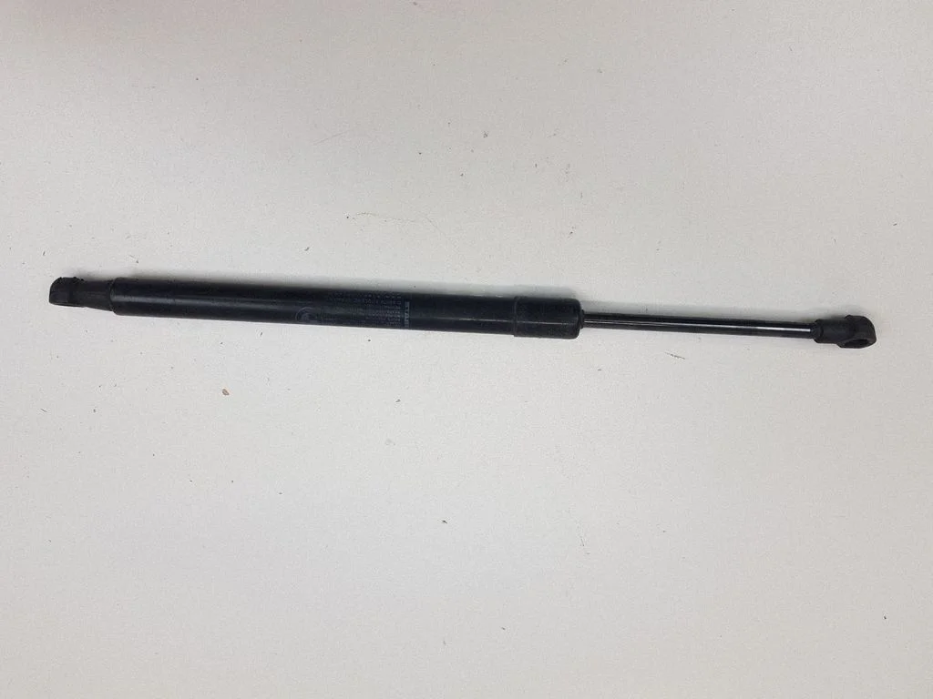 Tailgate/trunk strut/damper 7250308