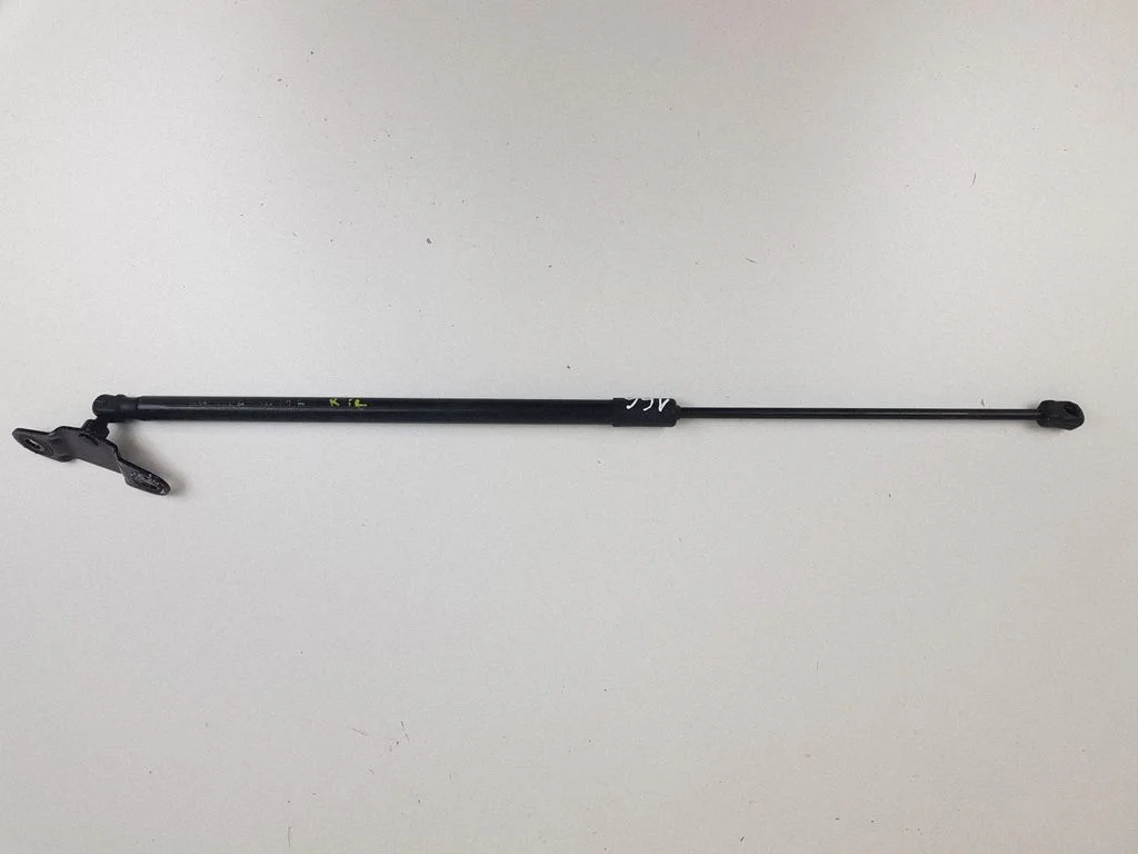 Tailgate/trunk strut/damper A1569800164