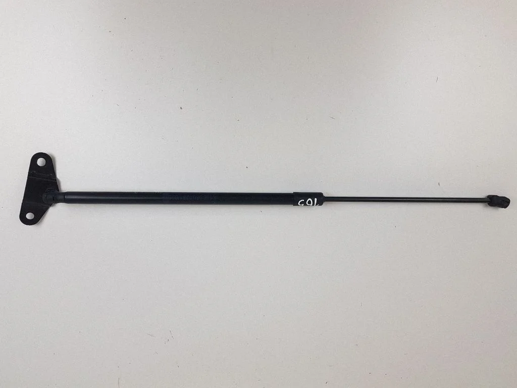 Tailgate/trunk strut/damper A1569800264
