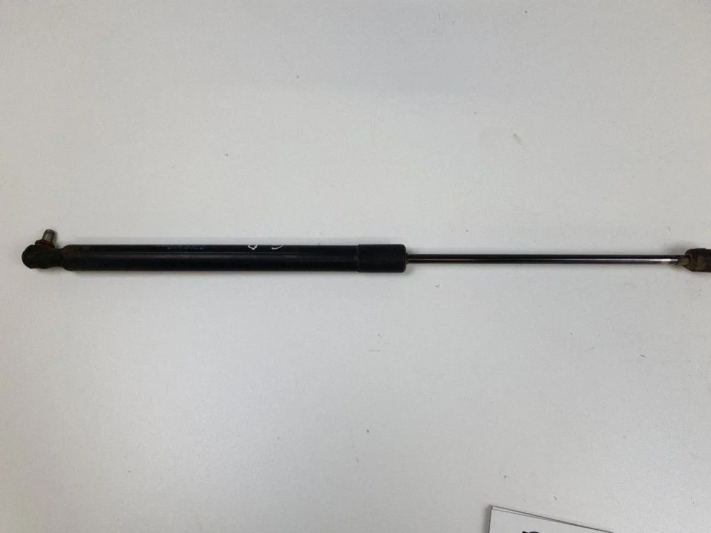 Tagaluugi gaasiamortisaator A1699800864