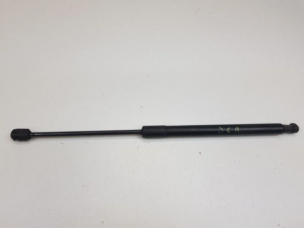 Tailgate/trunk strut/damper 3C9827550A