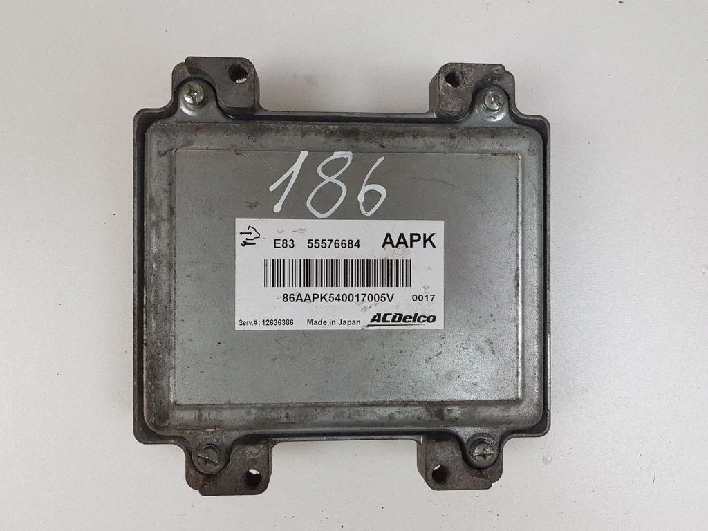 Dzinēja vadības bloks 55576684